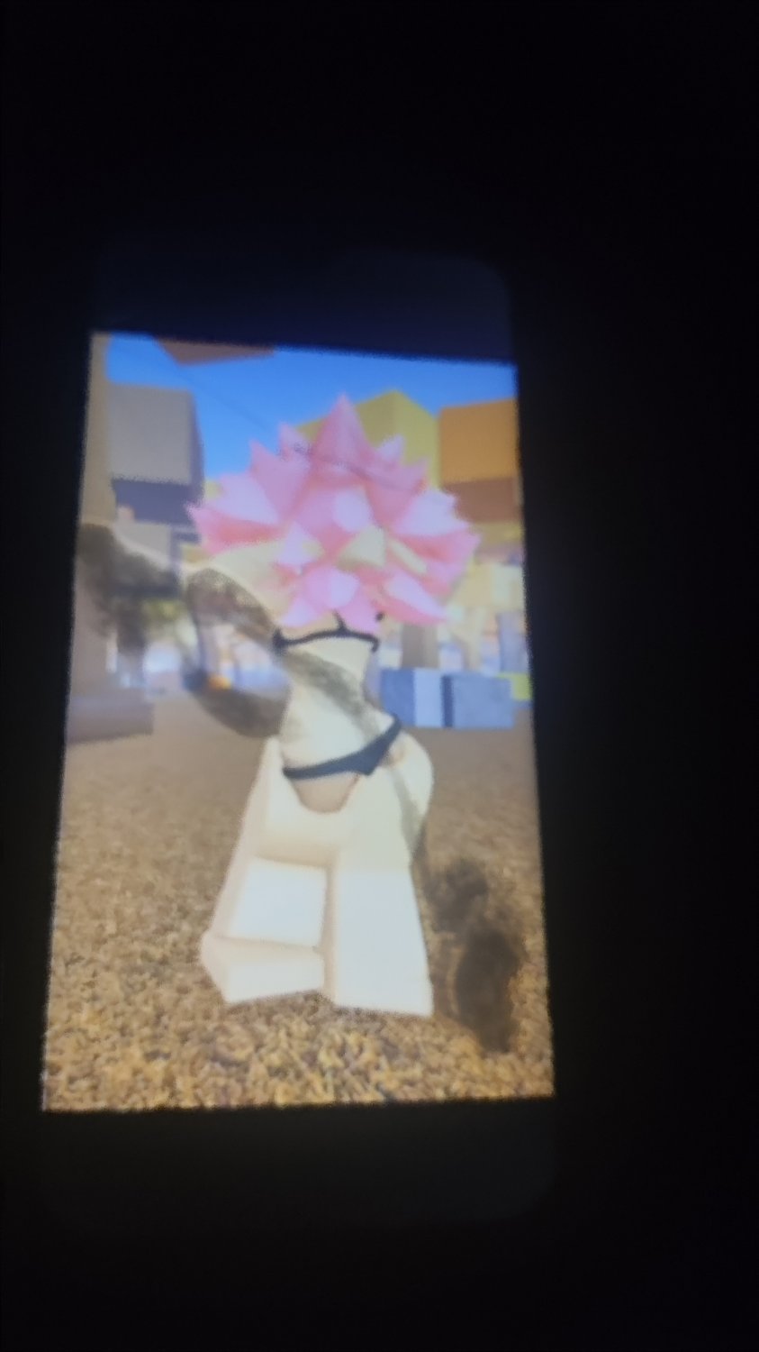 Roblox cum tribute #29 #2EUcBLPf