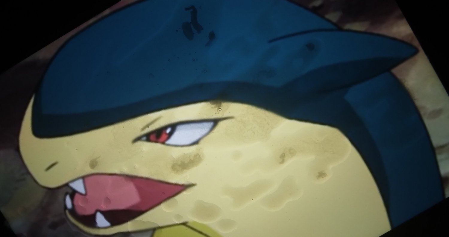 typhlosion cum tributes #T1PB1WOI