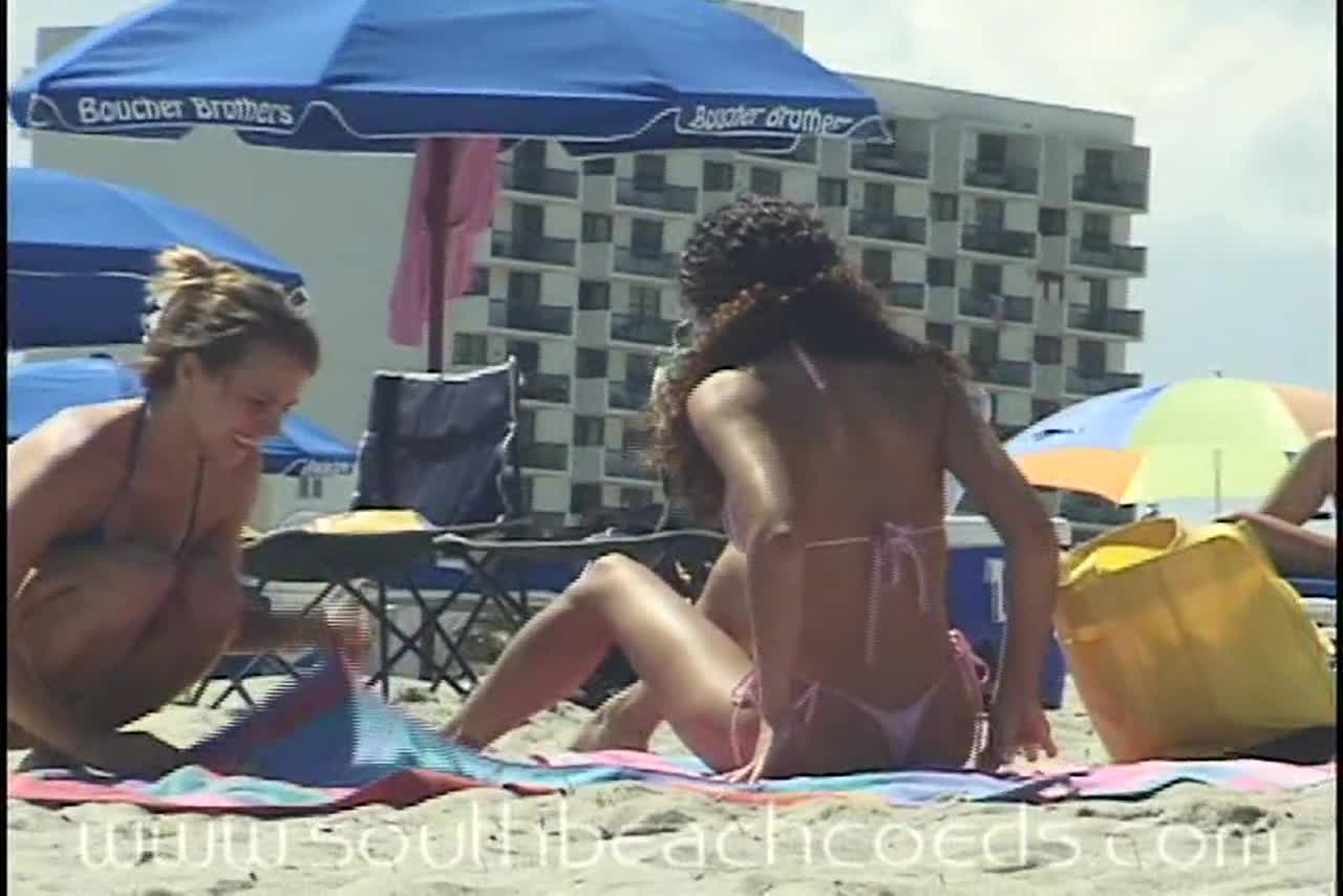 1280px x 854px - Miami Voyeur Beach Clip 1 - Porn Videos & Photos - EroMe